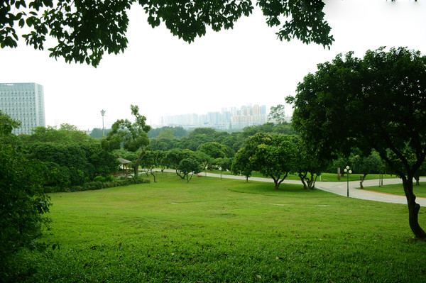 贛州公園草皮