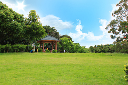 萍鄉公園一角