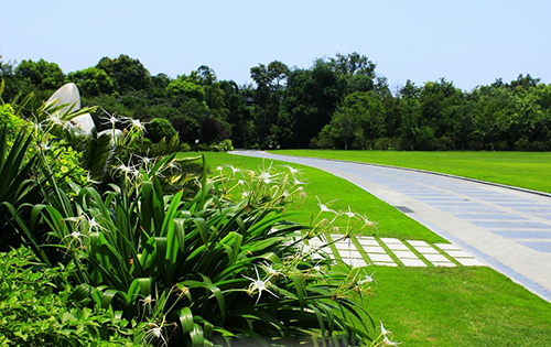 萍鄉公園一角